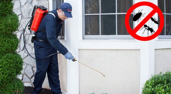 Çankırı Böcek ve Haşere İlaçlama böcek ilaçlama ve haşere kontrolü — ilaclama-tr.com